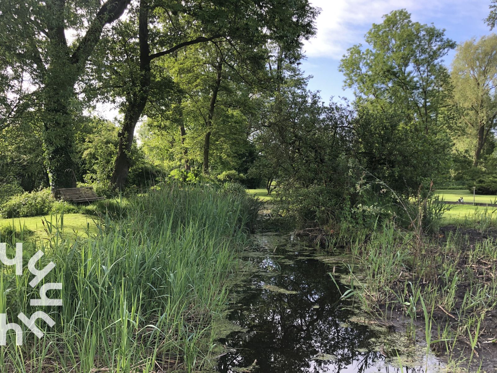 Lokale markt in nabijheid van OV270 vakantiehuis in Giethoorn, ontdek de cultuur van Noordwest Overijssel.