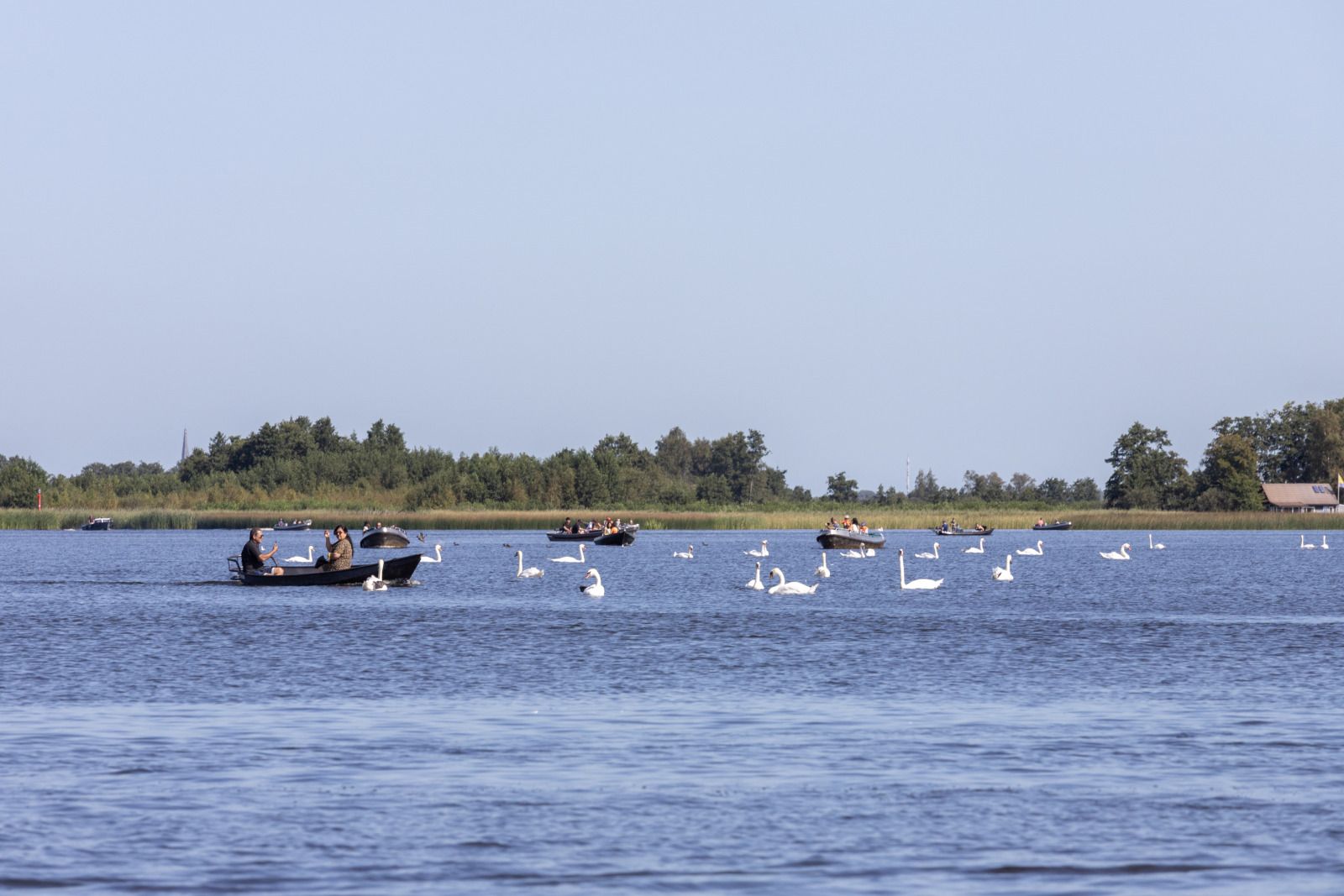 Guest house 5501115 - Holiday property Noordwest Overijssel - OV792