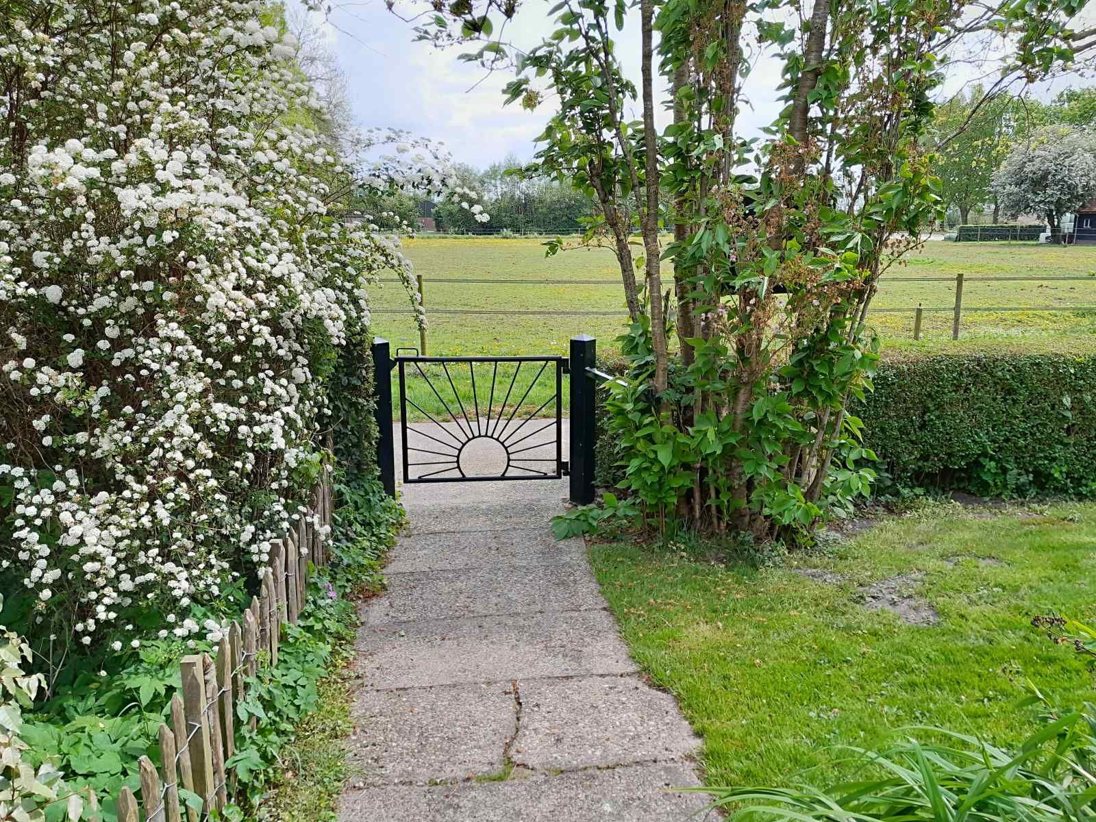 Beautiful views of the countryside from the garden of vacation home OV602 in Giethoorn.