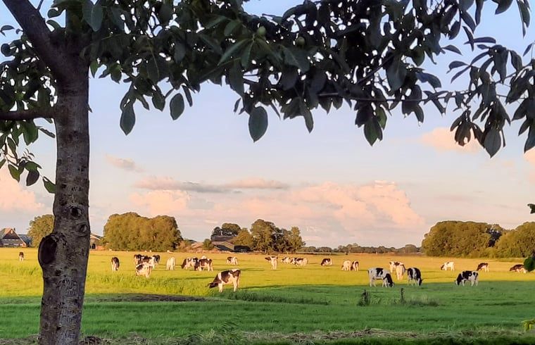 Guest house 550112 - Holiday property Noordwest Overijssel - Huisje in Giethoorn