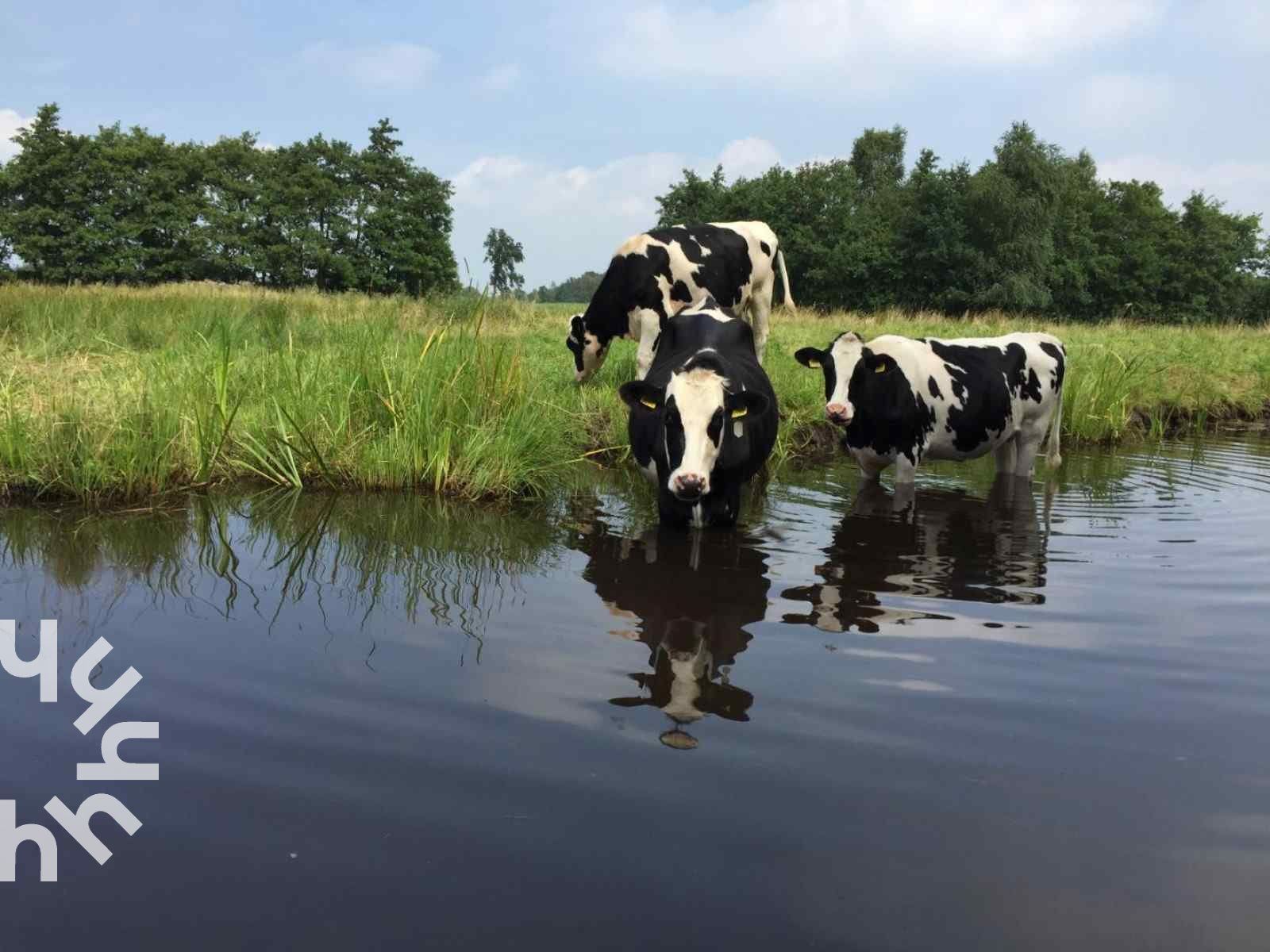 Komfortables Schlafzimmer im Ferienhaus OV117 in Giethoorn, Nordwest Overijssel, mit weichen Handtuechern.