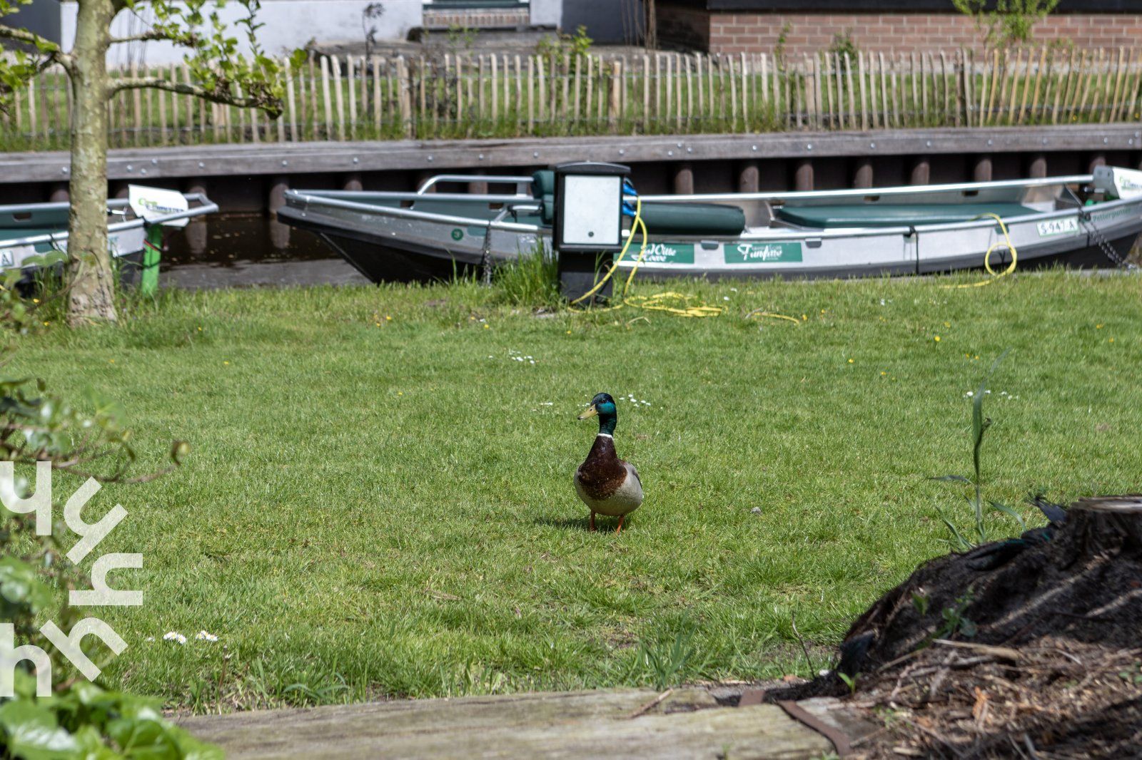 Geraeumiger Garten am Ferienhaus OV117 in Giethoorn, Nordwest Overijssel, mit viel Gruen und Privatsphaere.