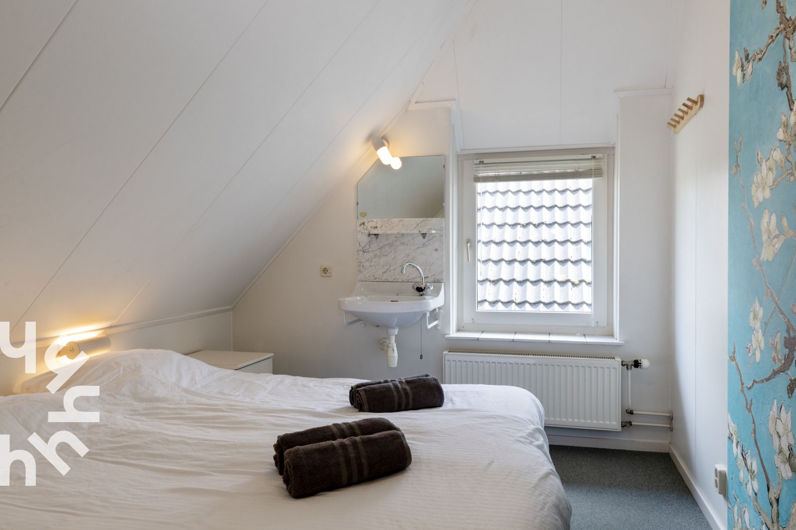 Majestaetische Schwaene in der Naehe des Ferienhauses OV117 in Giethoorn, Nordwest Overijssel.