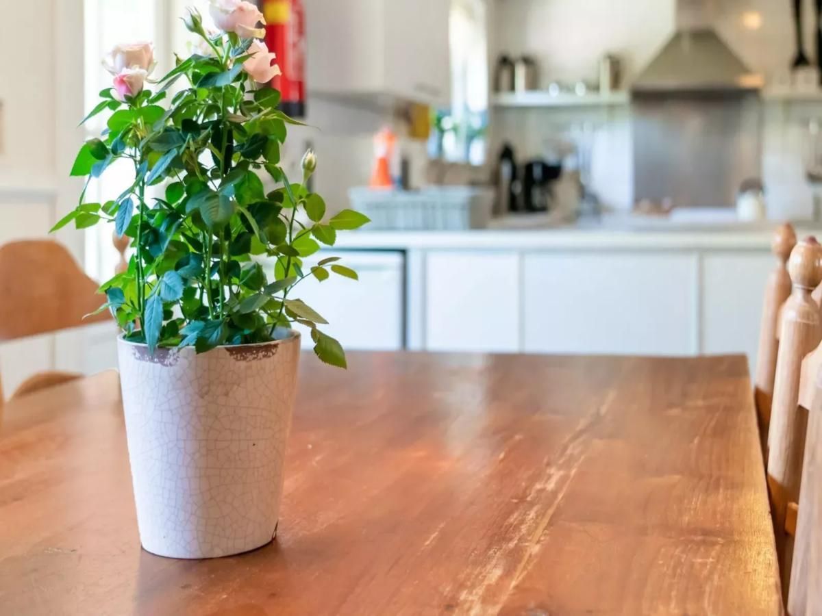 Unterkunft 550194 - Ferienhaus Noordwest Overijssel - Benedenverdieping Hoeve Ginette