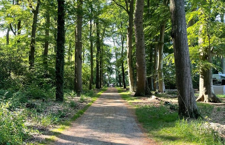 Unterkunft 550302 - Ferienhaus Noordwest Overijssel - Vakantiehuis in Vollenhove