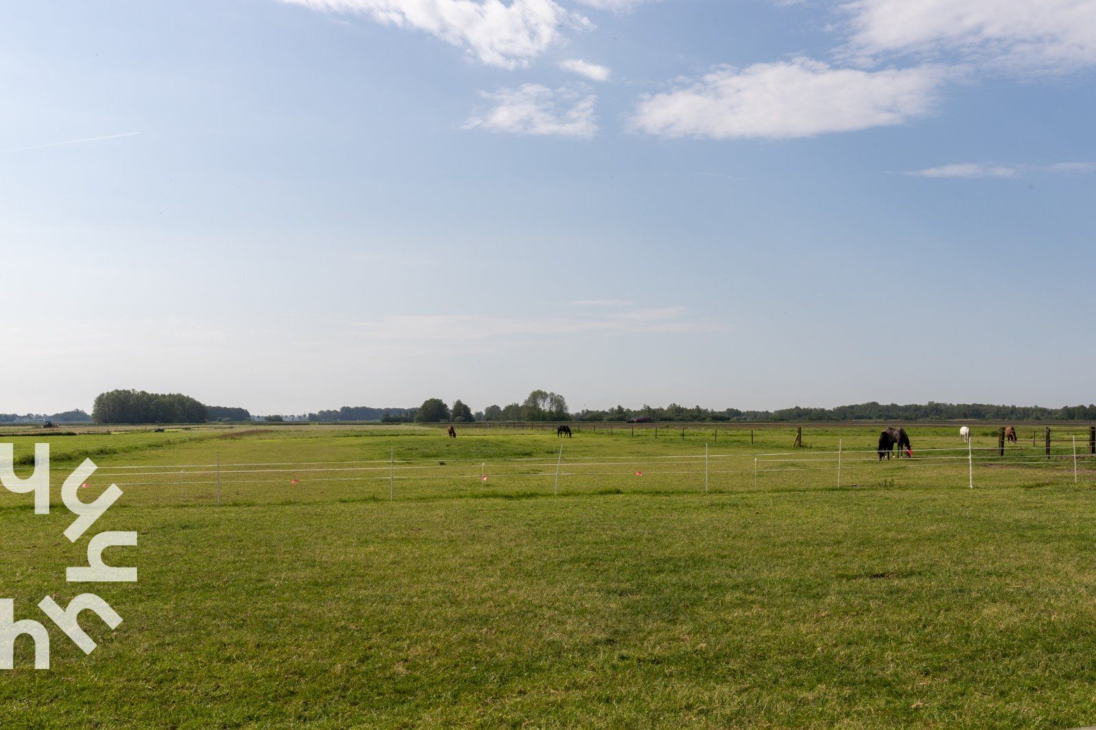 Eingang zum Ferienhaus OV591 in Wanneperveen, Overijssel, umgeben von Gruenpflanzen.