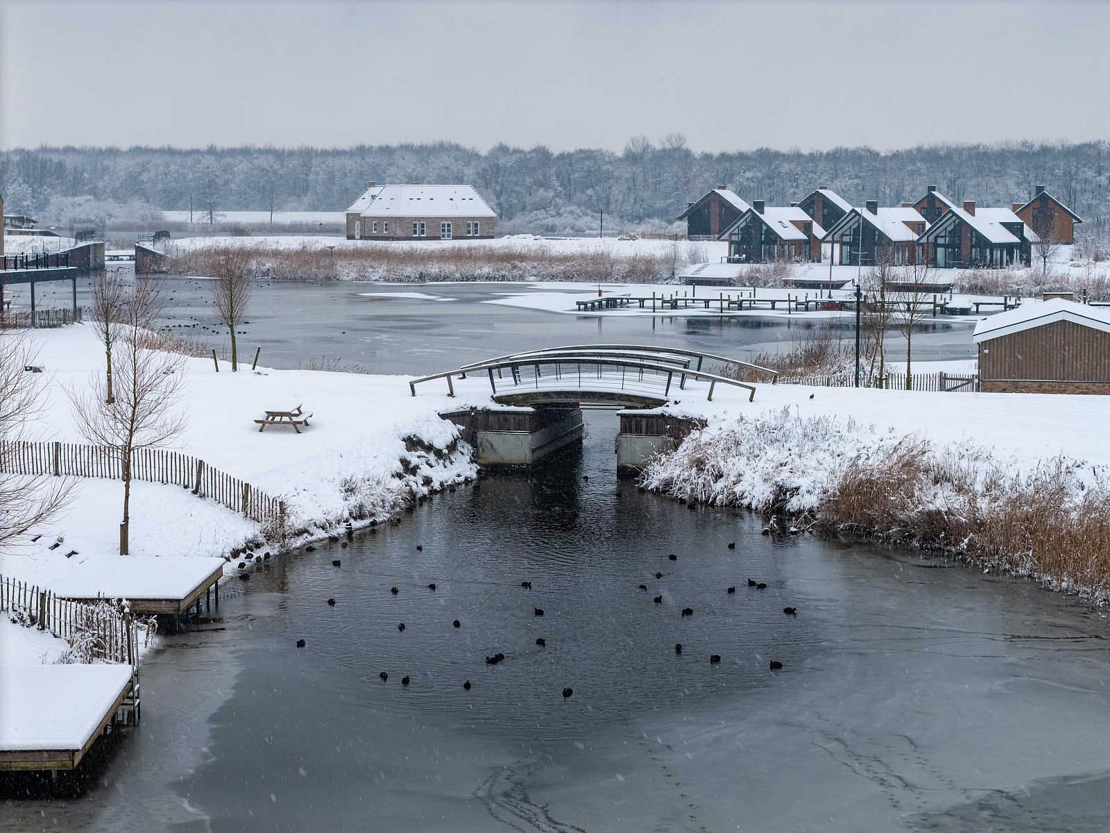 Unterkunft 5507107 - Ferienhaus Noordwest Overijssel - Vrijstaande woning in Kampen