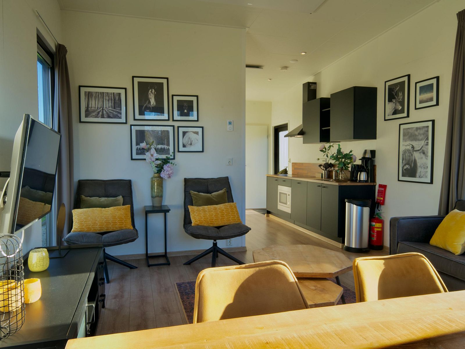 Gezellige woonkamer in de Vrijstaande woning in Kampen, Overijssel, met moderne keuken en comfortabele zithoek.