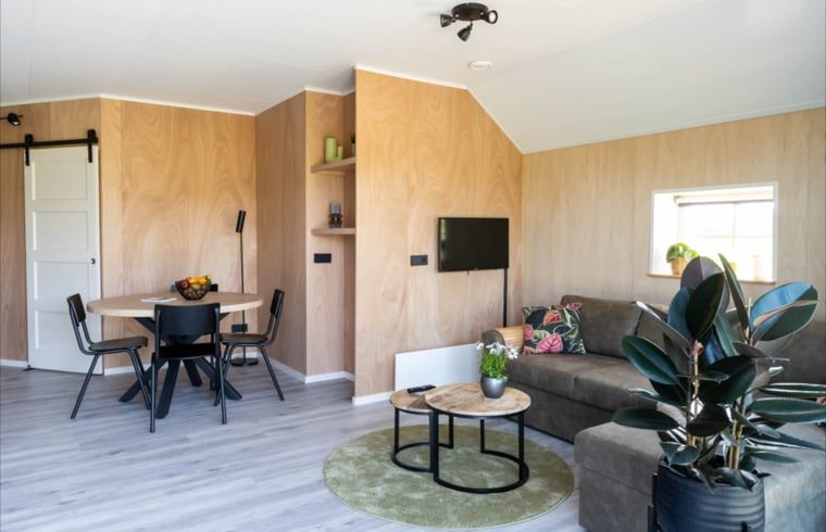 Gemuetliches Wohnzimmer des Ferienhauses in Scheerwolde, Overijssel, mit moderner Einrichtung und Komfort.