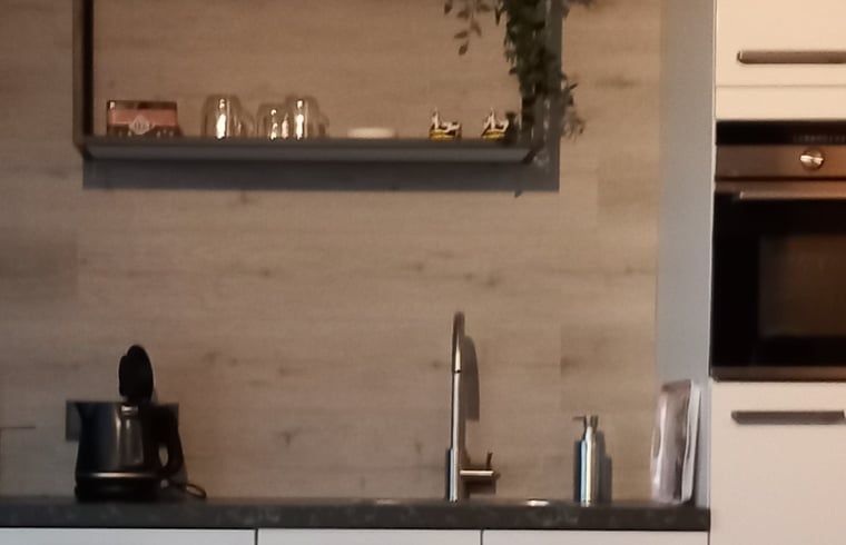 Elegantes Kuechendesign im Ferienhaus in Scheerwolde, Overijssel, mit modernen Geraeten und Design.