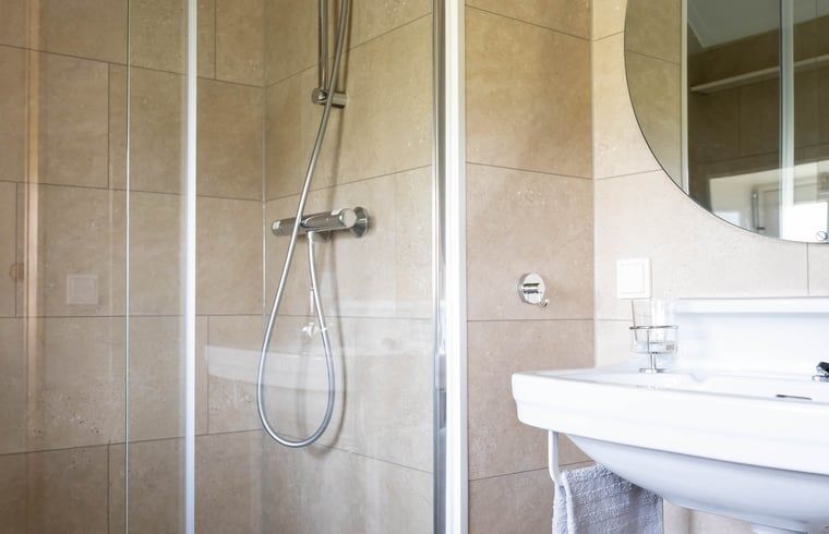 Luxurioeses Badezimmer im Ferienhaus in Scheerwolde, Overijssel, mit moderner Dusche und stilvoller Verarbeitung.