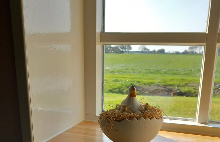 Blick vom Ferienhaus in Scheerwolde, Overijssel, mit gruenen Feldern und laendlichem Charme.