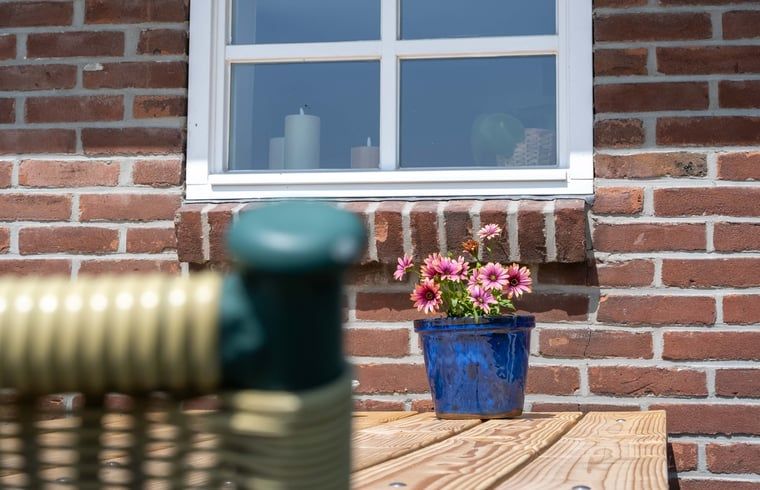Aussenbereich des Ferienhauses in Scheerwolde, Overijssel, mit bluehenden Blumen und rustikalen Details.