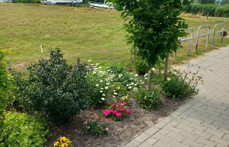Gartenweg am Ferienhaus in Scheerwolde, Overijssel, mit bunten Blumen und laendlicher Umgebung.