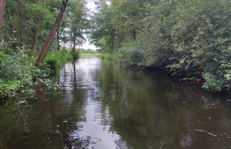Ruhige Wasserwege im Ferienhaus in Scheerwolde, Overijssel, in gruener Umgebung.