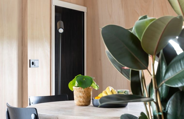 Unterkunft 550809 - Ferienhaus Noordwest Overijssel - Vakantiehuisje in Scheerwolde