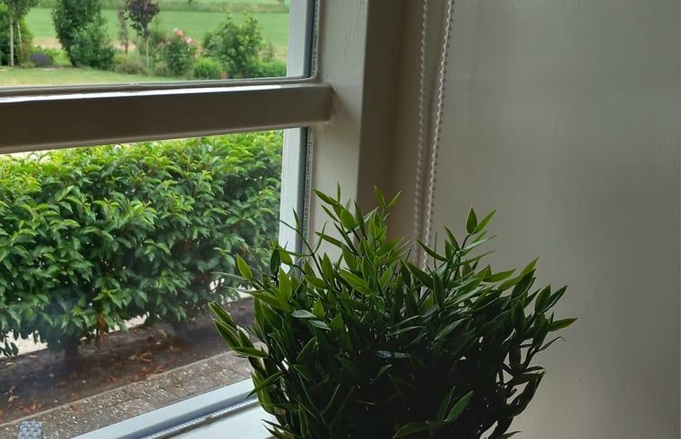 Unterkunft 550809 - Ferienhaus Noordwest Overijssel - Vakantiehuisje in Scheerwolde