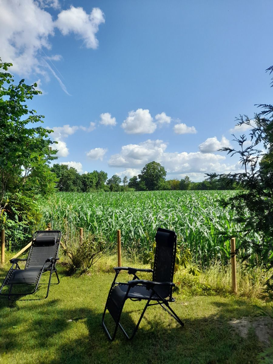 Unterkunft 550915 - Ferienhaus Noordwest Overijssel - OV707
