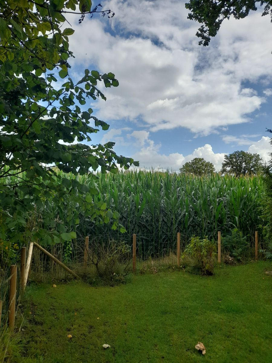 Unterkunft 550915 - Ferienhaus Noordwest Overijssel - OV707