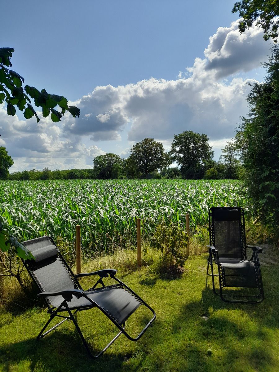 Unterkunft 550915 - Ferienhaus Noordwest Overijssel - OV707