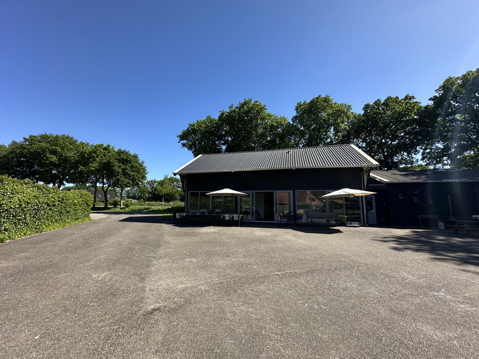 Picture 25