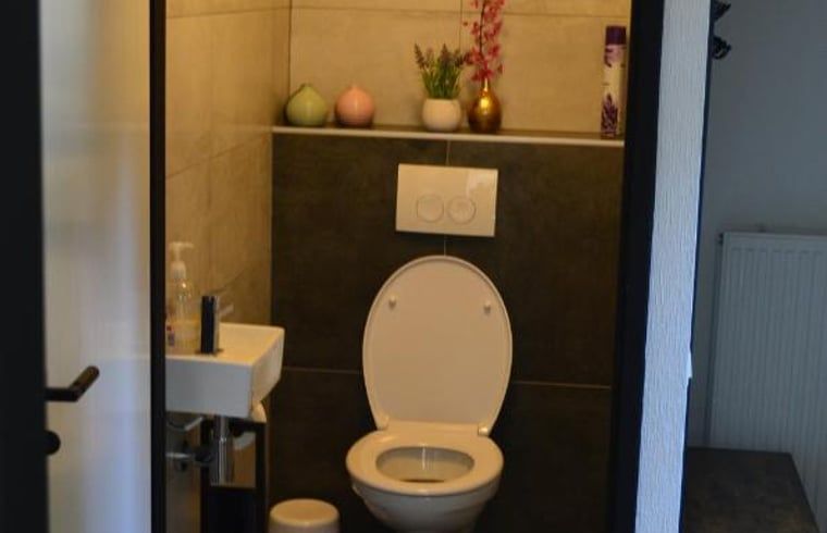 Stilvolles Badezimmer in einem Ferienhaus in IJhorst, Overijssel, mit modernen Annehmlichkeiten.