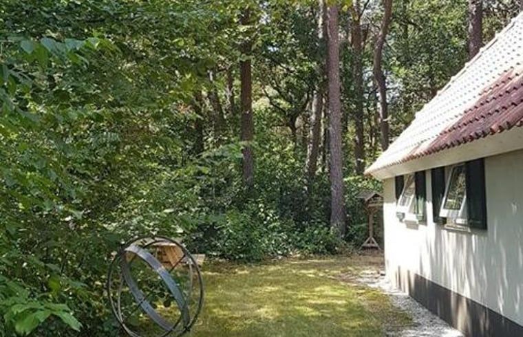 Hinterhof eines Ferienhauses in IJhorst, Nordwest Overijssel, umgeben von Natur.