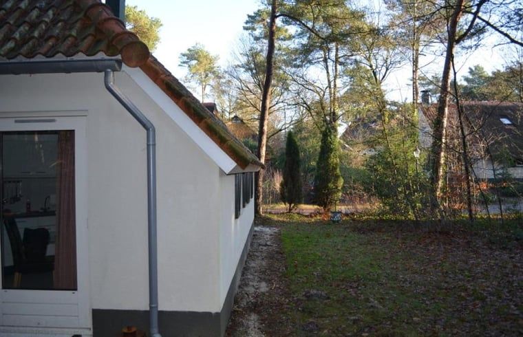 Seitenansicht eines Ferienhauses in IJhorst, Overijssel, mit gruener Umgebung.