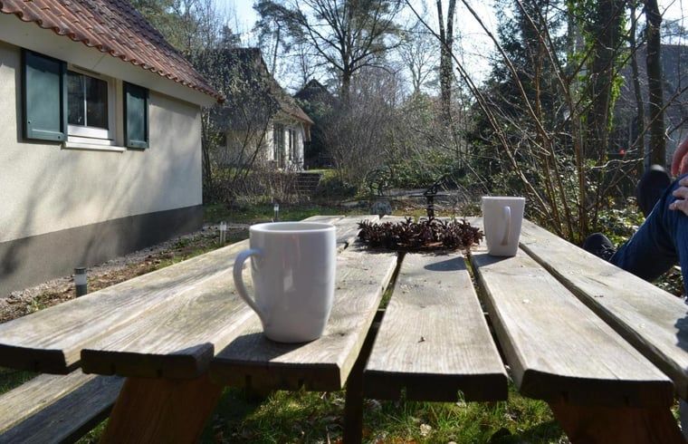 Picknicktisch im Garten des Ferienhauses in IJhorst, ideal fuer ein Fruehstueck im Freien.