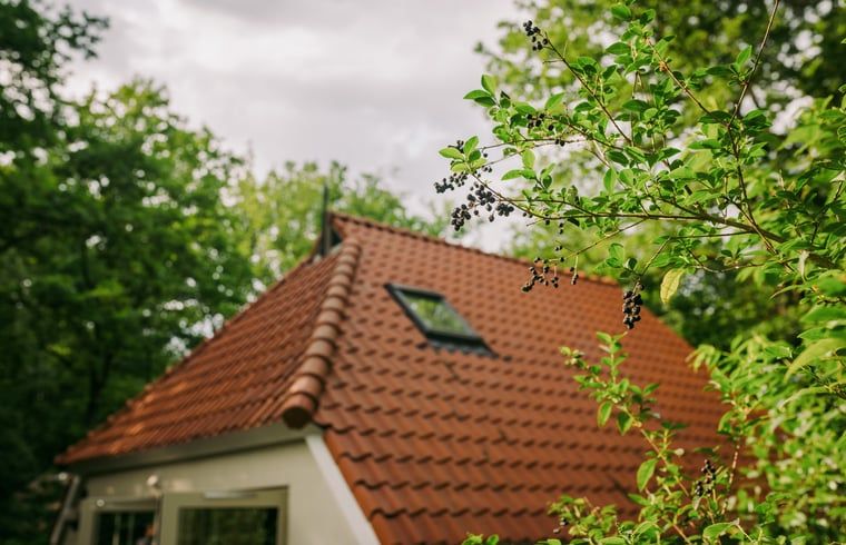 Unterkunft 551406 - Ferienhaus Noordwest Overijssel - Huisje in IJhorst