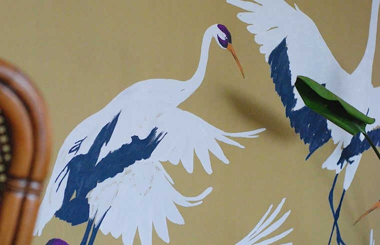 Guest house 5514108 - Holiday property Noordwest Overijssel - Vakantiehuisje in IJhorst