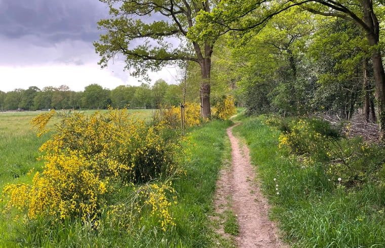 Guest house 5514108 - Holiday property Noordwest Overijssel - Vakantiehuisje in IJhorst