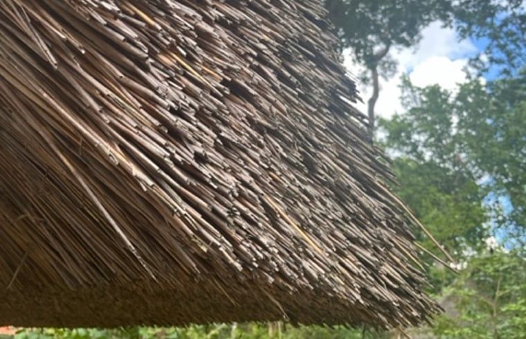 Sonnige Terrasse am Ferienhaus in IJhorst, ausgestattet mit Holztisch und Stuehlen, umgeben von gruener Natur.
