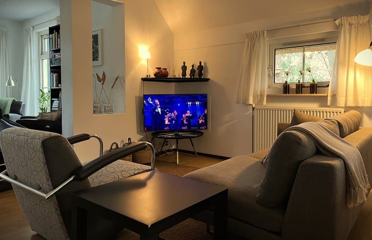 Modernes Wohnzimmer mit TV und bequemem Sofa im Ferienhaus in IJhorst, ideal zum Entspannen.