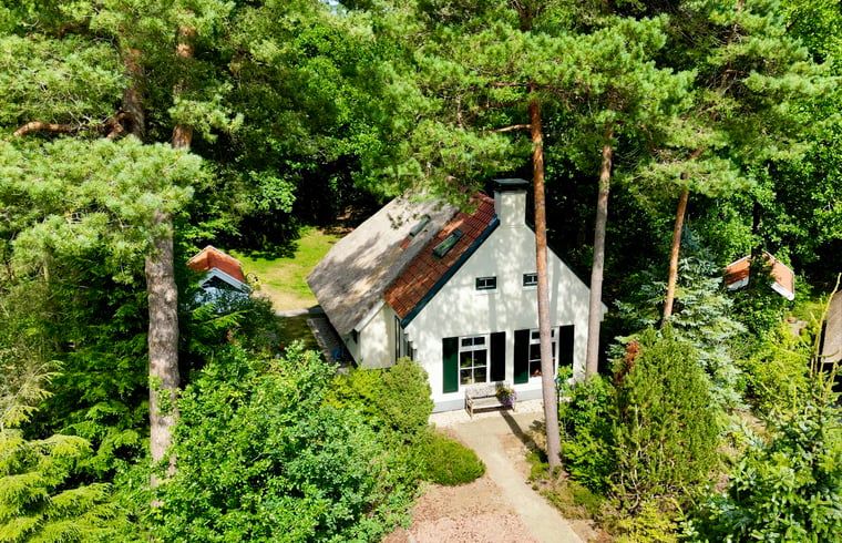 Luchtfoto van Vakantiehuisje in IJhorst, omringd door groen in Noordwest Overijssel, Overijssel.
