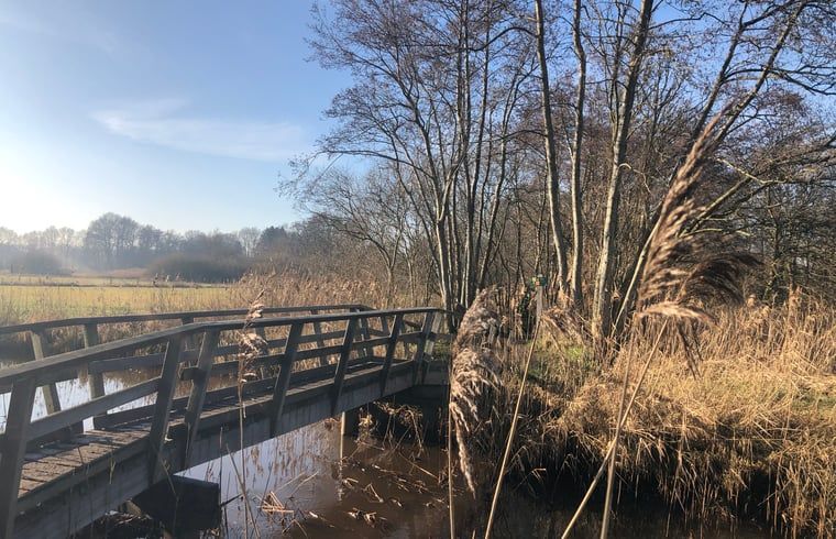 Rustige beek in de nabijheid van Vakantiehuisje in IJhorst, Noordwest Overijssel, Overijssel.