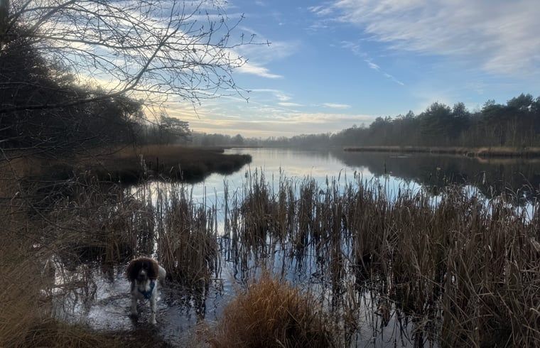 Moderne keuken met apparatuur in Vakantiehuisje in IJhorst, Noordwest Overijssel, Overijssel.