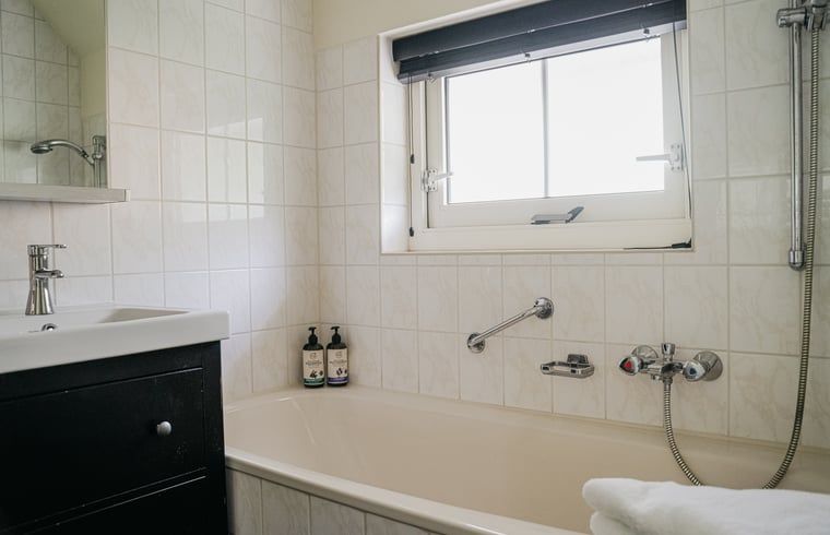 Stijlvolle badkamer met dubbele wastafel in Vakantiehuisje in IJhorst, Noordwest Overijssel, Overijssel.