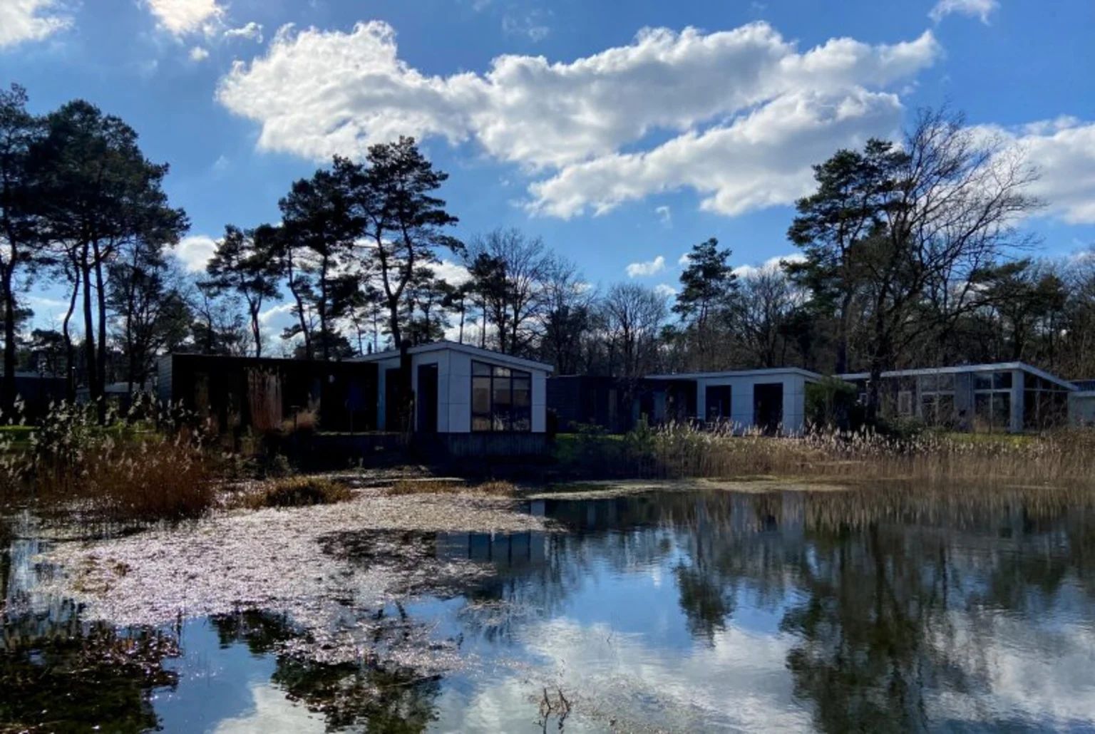 Unterkunft 551474 - Ferienhaus Noordwest Overijssel - Vrijstaande woning in IJhorst