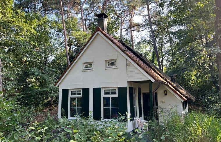 Unterkunft 551482 - Ferienhaus Noordwest Overijssel - Vakantiehuisje in IJhorst