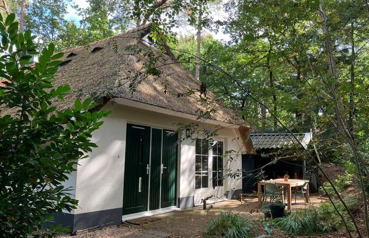 Unterkunft 551482 - Ferienhaus Noordwest Overijssel - Vakantiehuisje in IJhorst