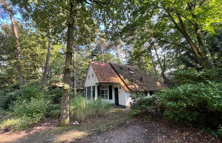 Unterkunft 551482 - Ferienhaus Noordwest Overijssel - Vakantiehuisje in IJhorst