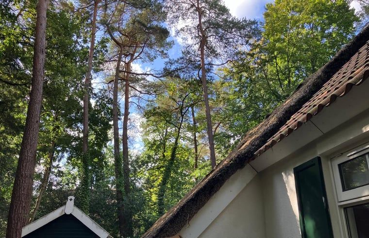 Unterkunft 551482 - Ferienhaus Noordwest Overijssel - Vakantiehuisje in IJhorst