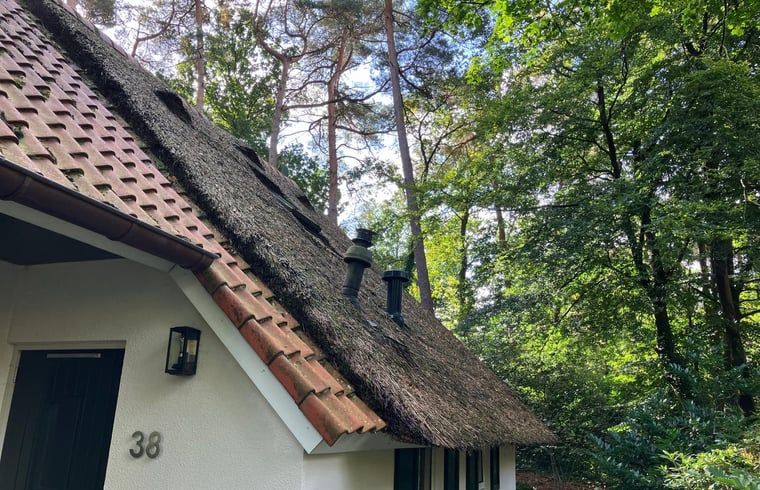 Unterkunft 551482 - Ferienhaus Noordwest Overijssel - Vakantiehuisje in IJhorst