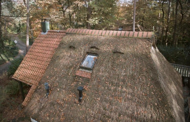 Unterkunft 551482 - Ferienhaus Noordwest Overijssel - Vakantiehuisje in IJhorst