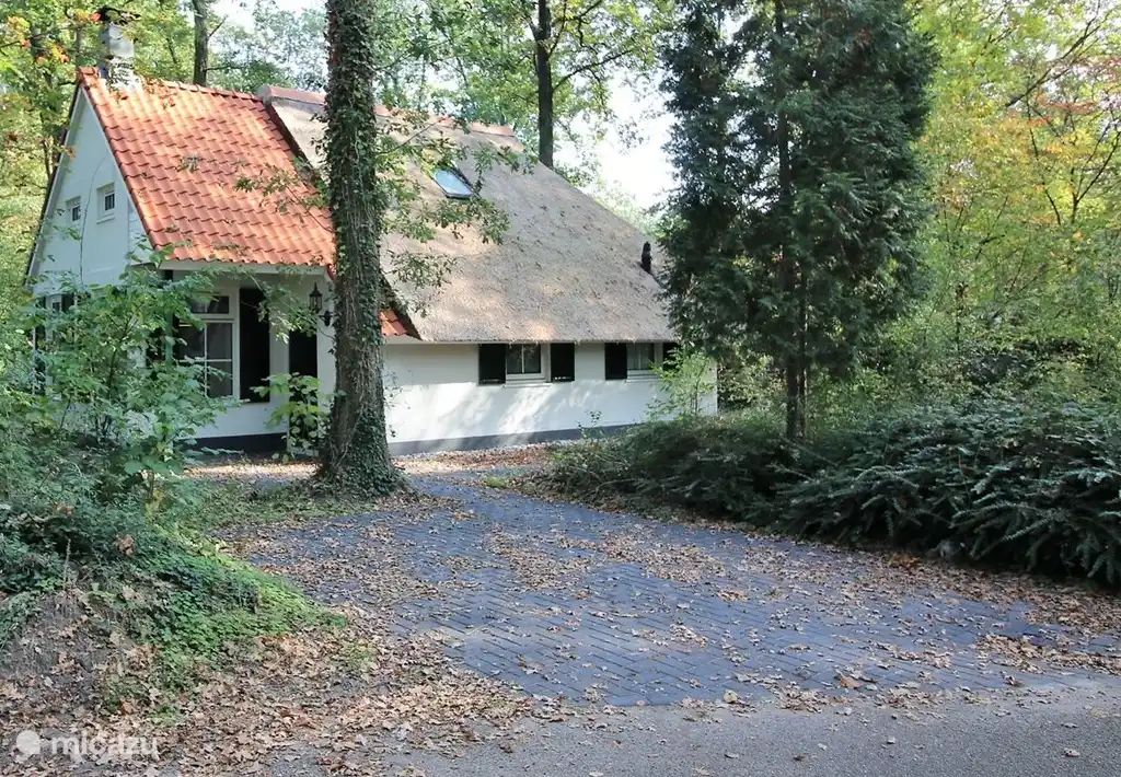 Unterkunft 551488 - Ferienhaus Noordwest Overijssel - De Witte Bergen
