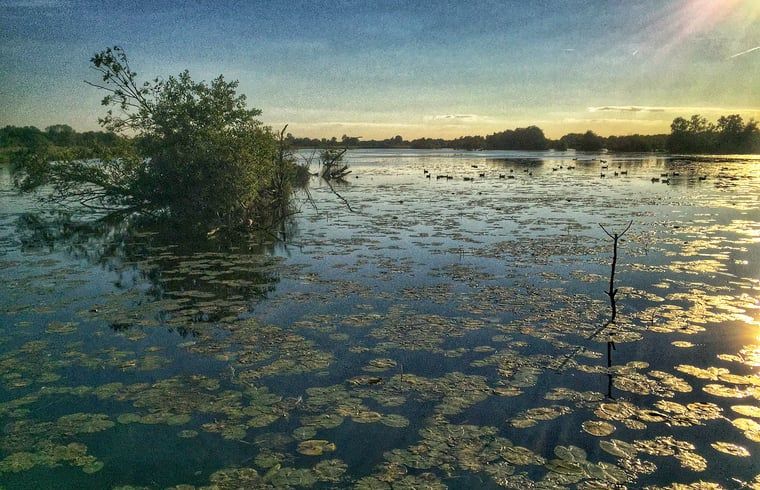 Zonsondergang boven water bij Vakantiehuis in Kalenberg, Noordwest Overijssel, Overijssel.