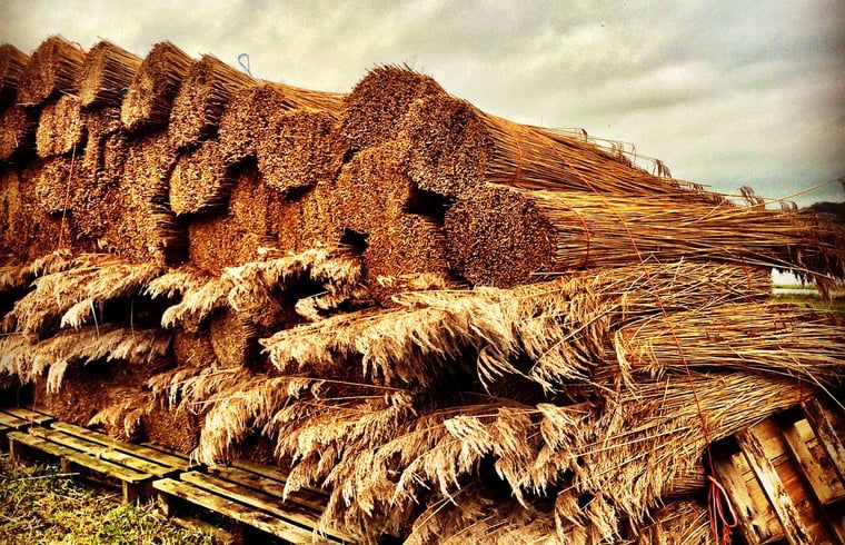 Guest house 551613 - Holiday property Noordwest Overijssel - Vakantiehuisje in Kalenberg