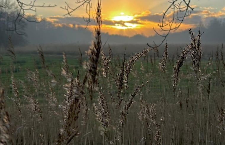 Verblijf 551614 - Vakantiewoning Noordwest Overijssel - Vakantiehuis in Kalenberg