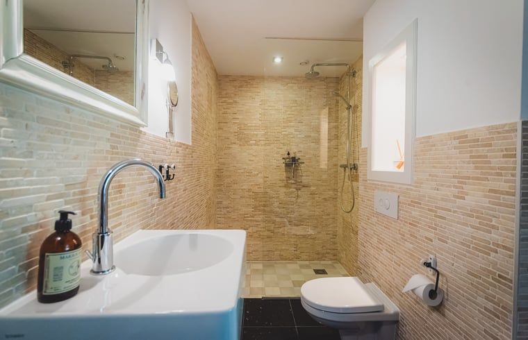 Elegante badkamer in Vakantiehuis in Sint Jansklooster, Noordwest Overijssel, met ruime inloopdouche.